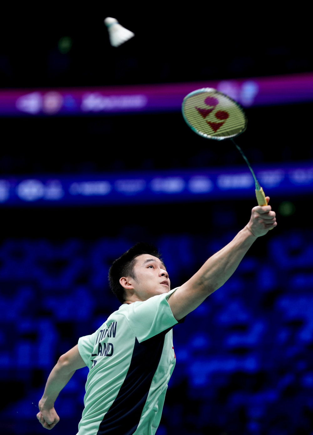 视频或文字 视频或文字